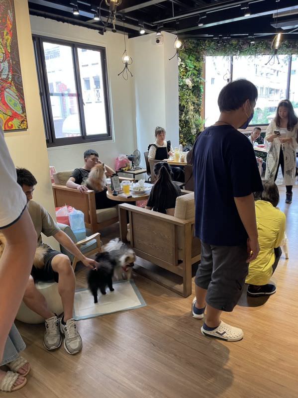 森林小徑大墩店对宠物超友善